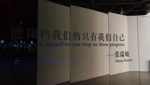 聚焦城市动脉 海泊汇04期“停车场投资建设与资产管理”青岛研讨班圆满落幕