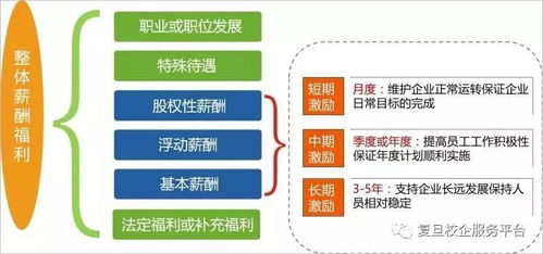 非上市公司股权激励方案（珍藏版） 打造核心团队的长效激励机制