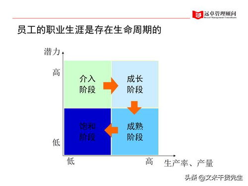 知名咨询公司客户案例 人力资源管理全面提升的100页系统解析